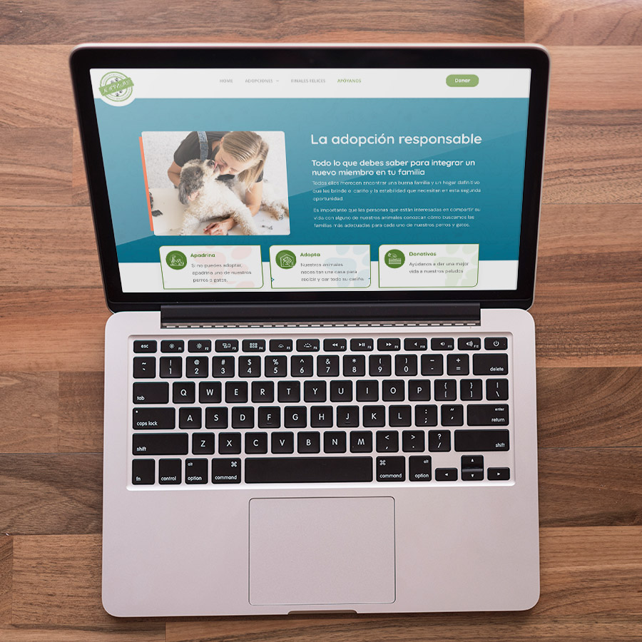 Web en wordpress